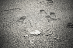 海辺の軌跡