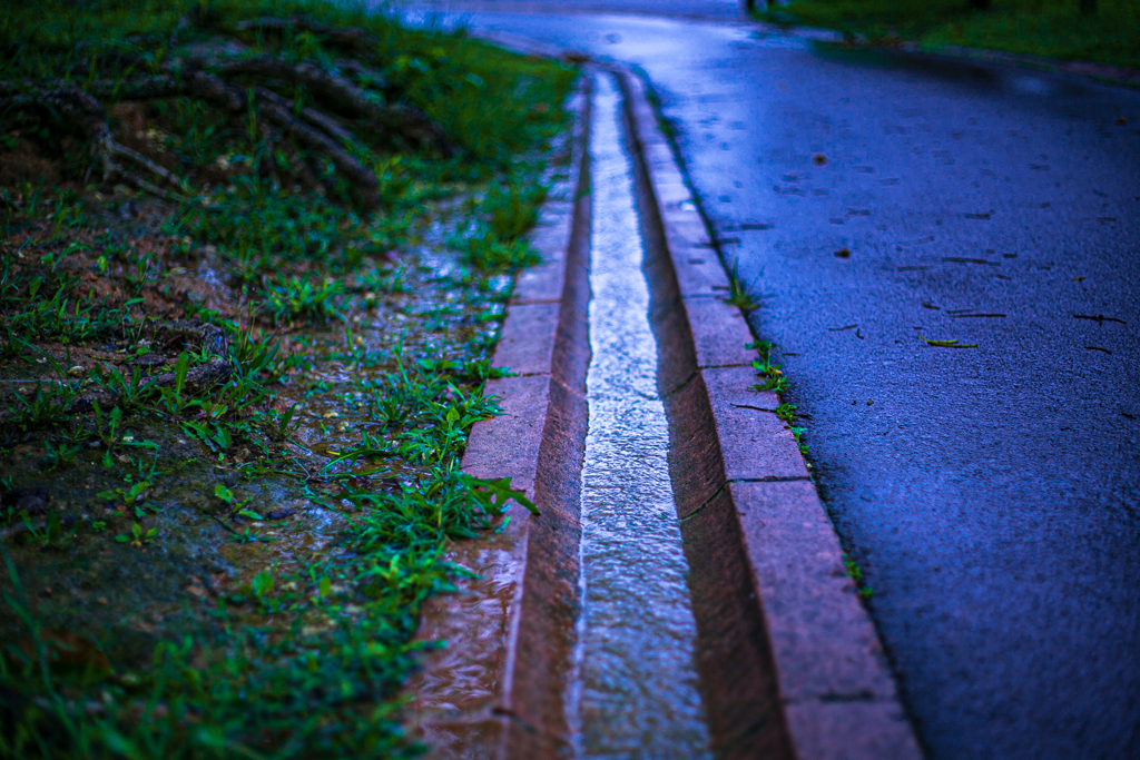 After the Rain