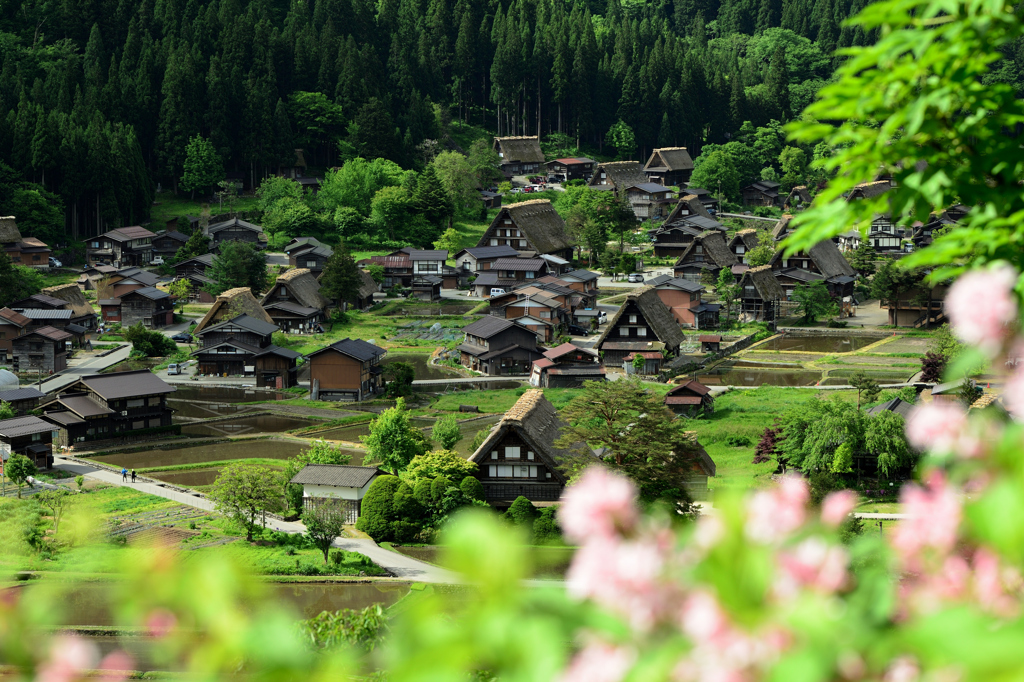 白川郷：田植え前１