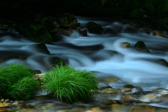 流水と緑