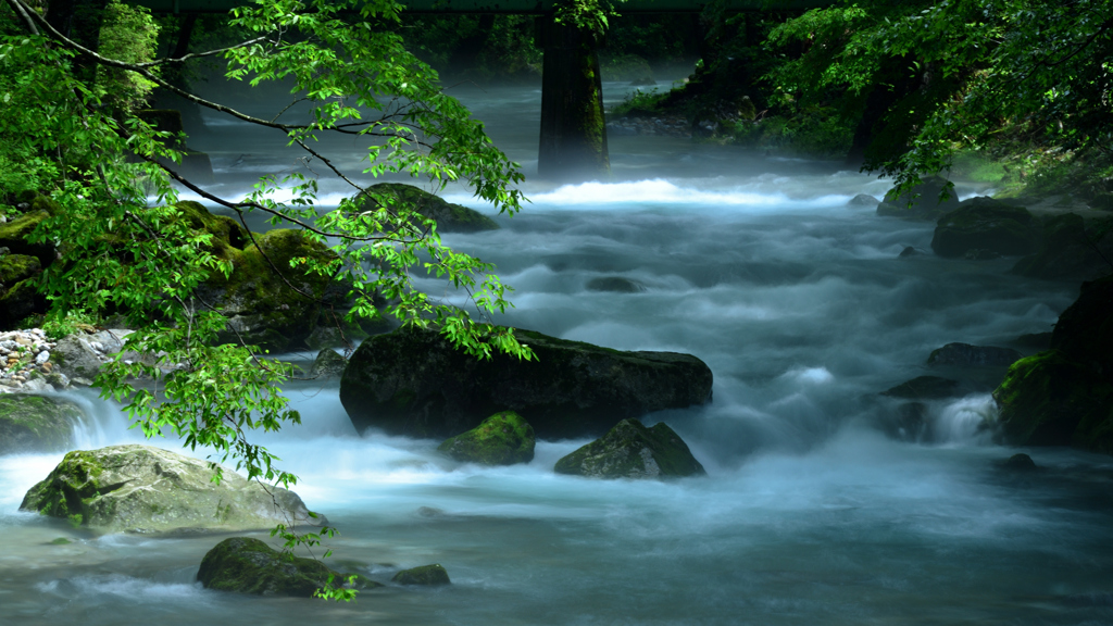 梅雨の円原川２