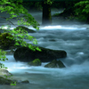 梅雨の円原川２