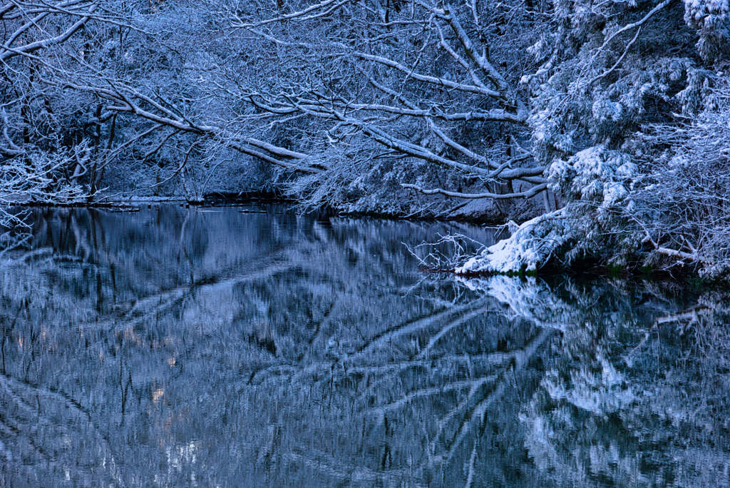 雪化粧Ⅰ