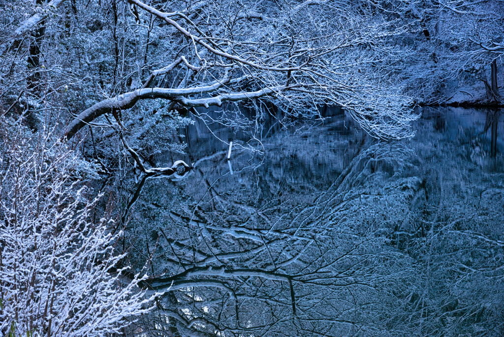 雪化粧Ⅱ