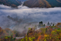 朝霧の渓谷