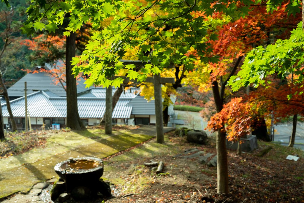 乙女神社