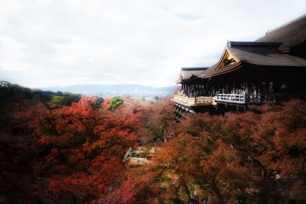 晩秋の京都にて1