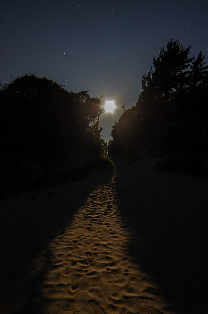The way to the moon