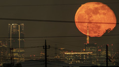 月齢15.7の月の出