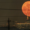 月齢15.7の月の出