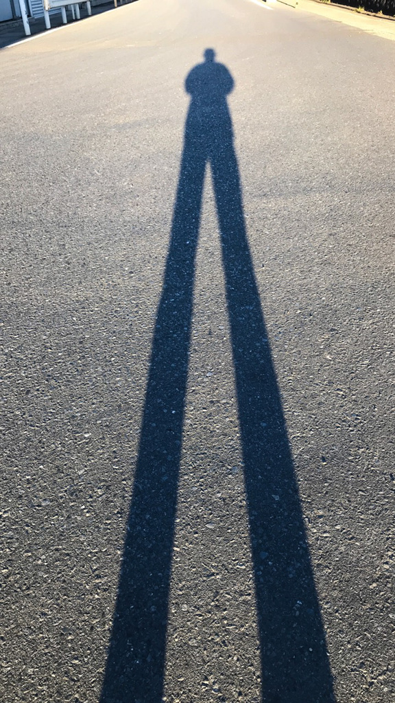 Daddy-Long-Legs