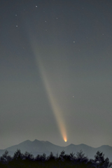 紫金山・アトラス彗星