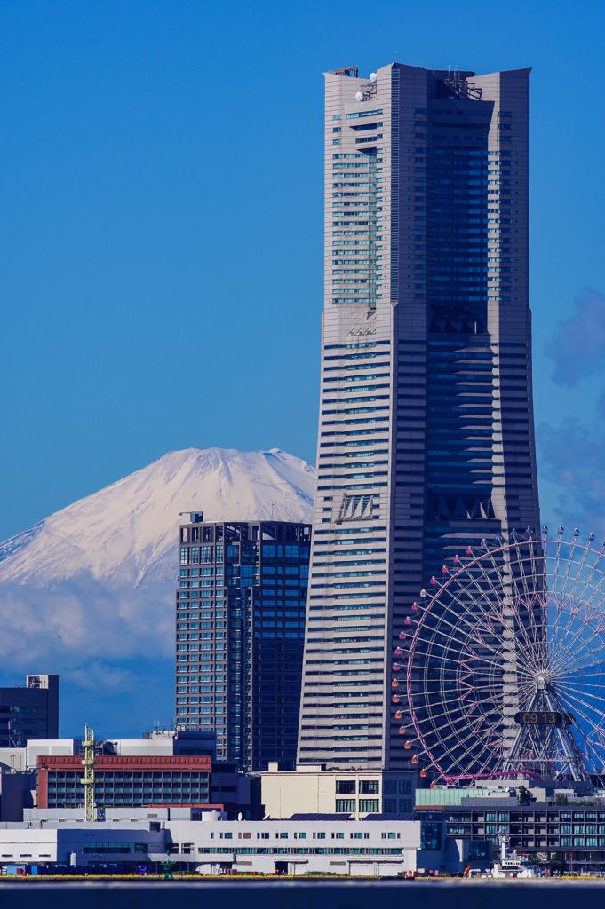 ヨコハマ富士