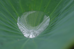 小さな水たまり