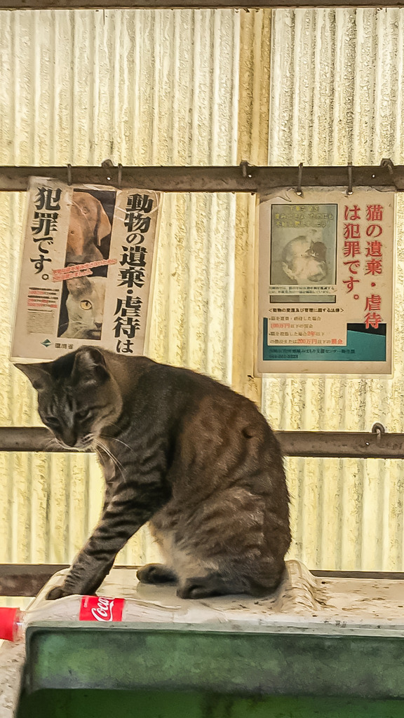 いつまでもずっと一緒にいようね