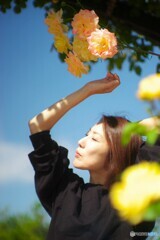 薔薇の如く3