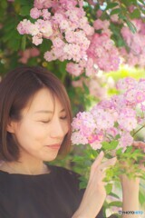 薔薇の如く2