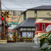 通勤経路　～朝顔に迎えられて～