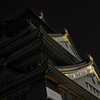 大阪秋の陣