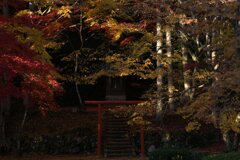洞光寺の紅葉