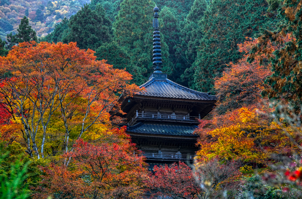 高源寺の紅葉