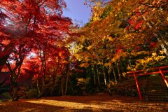 洞光寺の紅葉