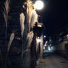 秋の夜長