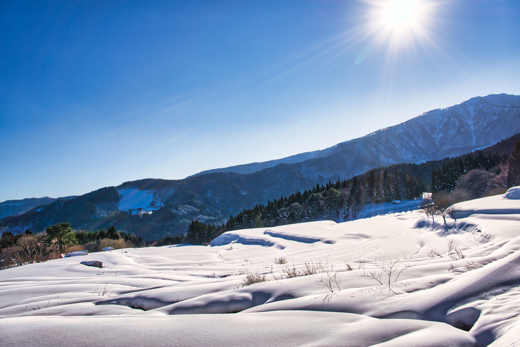 別宮の雪棚田