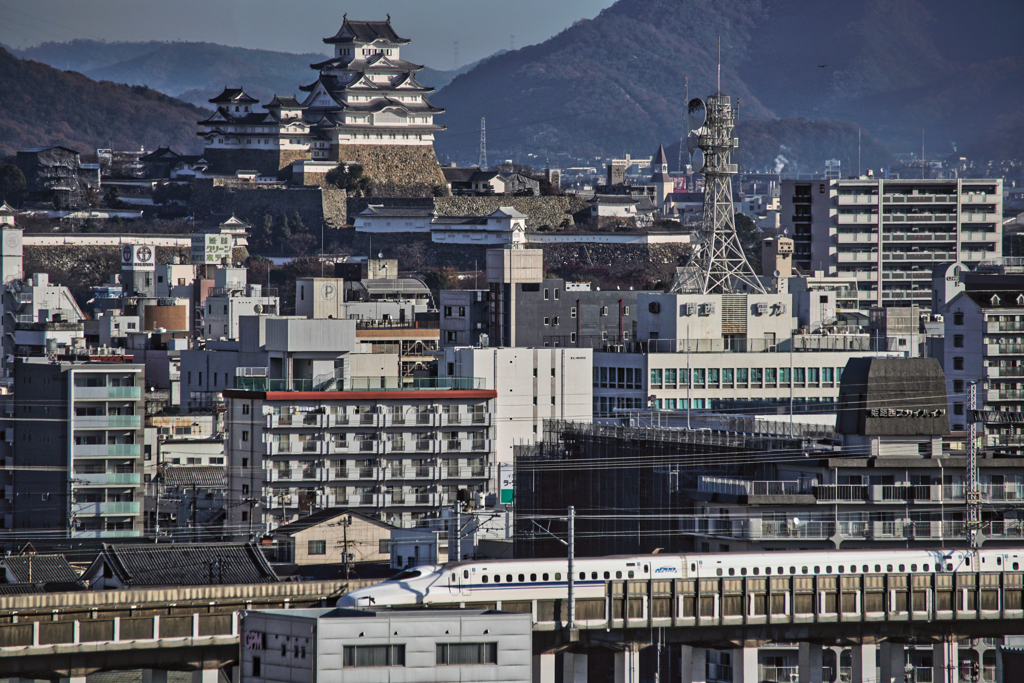 正平から令和へ