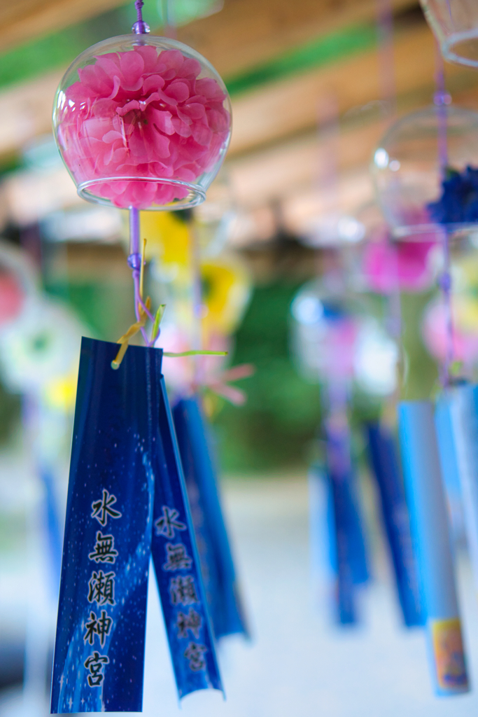夏の風物詩