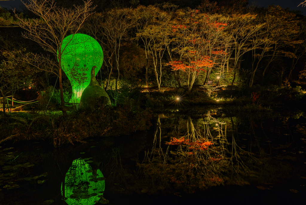 高山植物園ライトアップと謎の物体