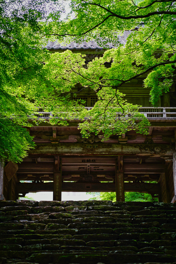 6月の丹波高源寺