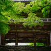 6月の丹波高源寺