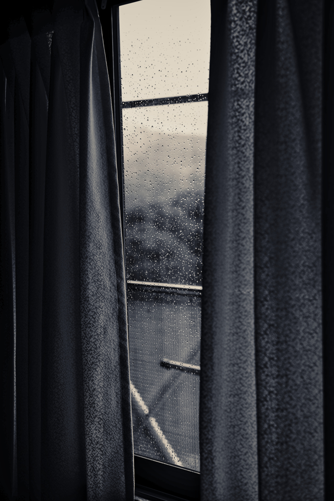 今日も雨