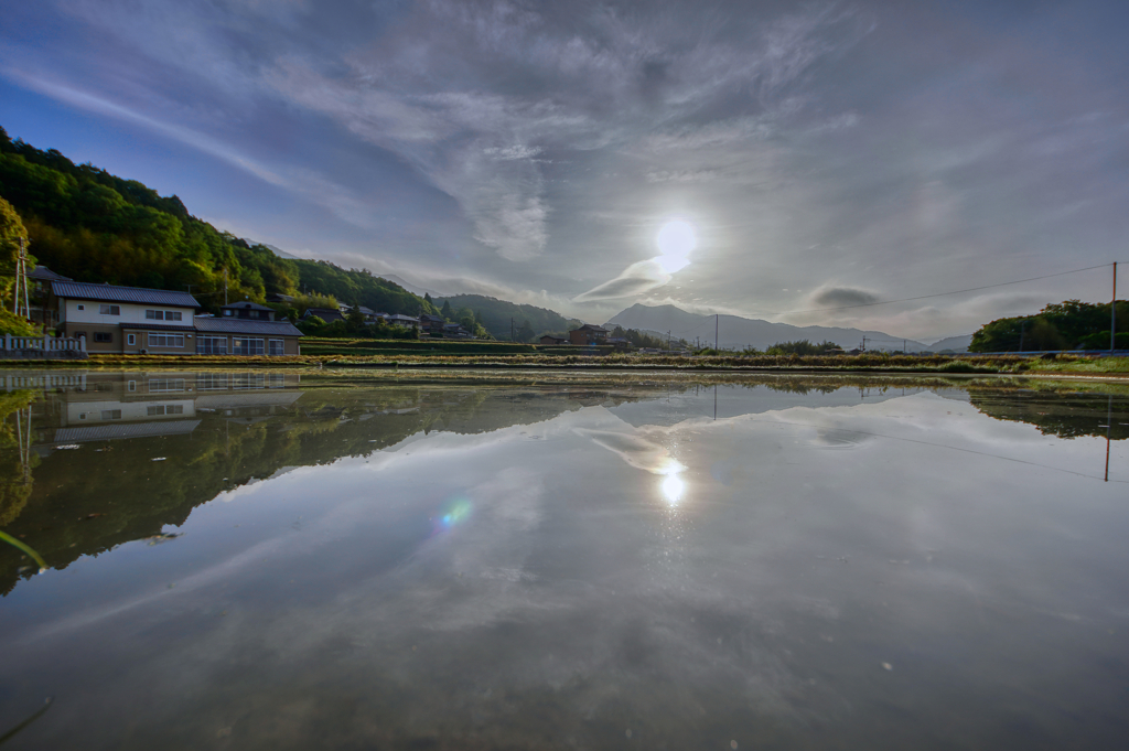 水田風景