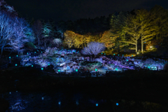 高山植物園ライトアップ