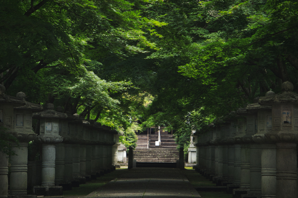 青紅葉のトンネル