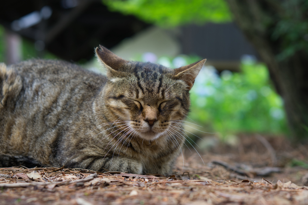そうそうその笑顔