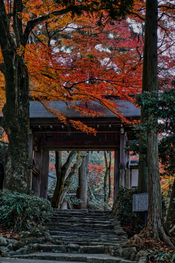 瑞宝寺公園（秋）