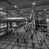 回復の兆し