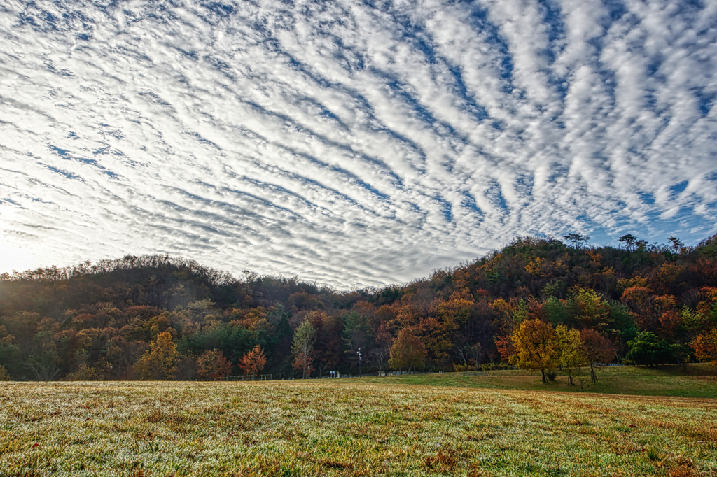 紅葉と巻積雲