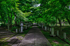 丹波　高山寺の新緑