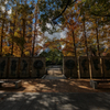 三宮東遊園地の紅葉