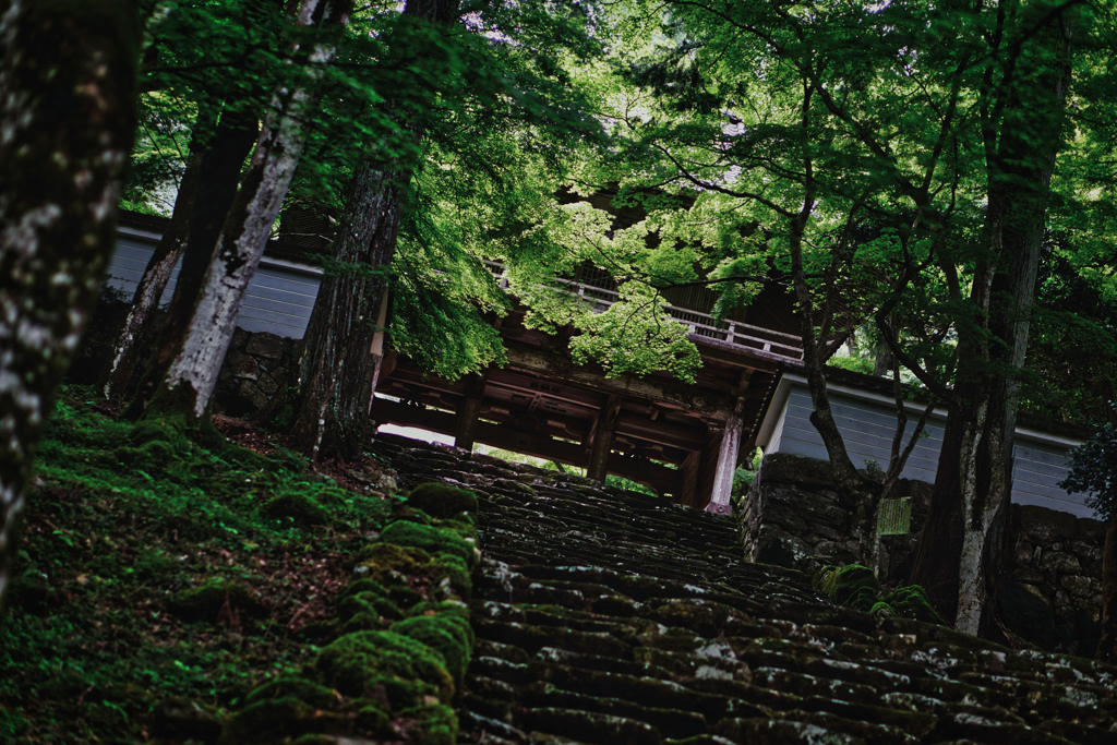 静寂に