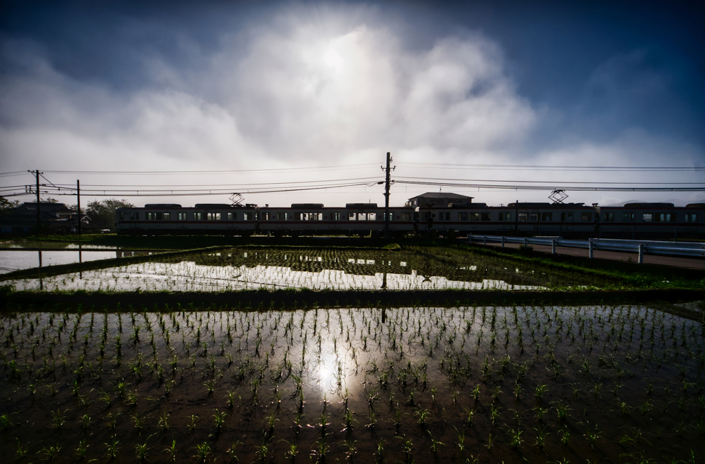 水田風景