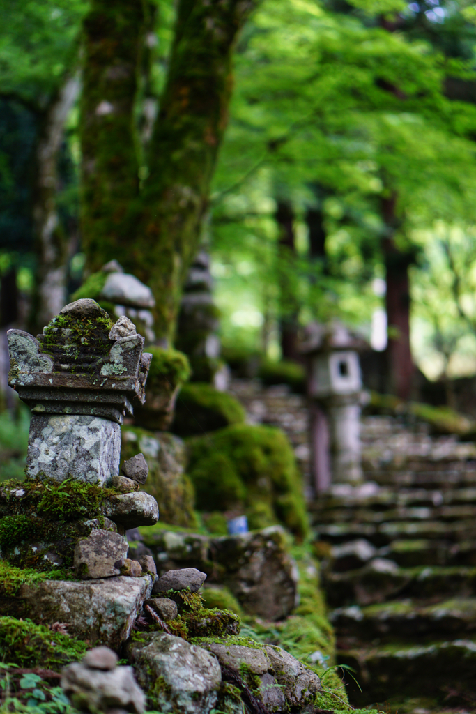 6月の丹波高源寺３