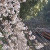 トロッコ嵐山駅から