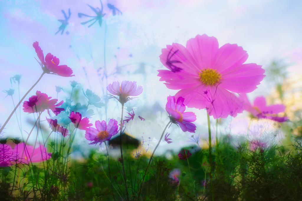 Multiple exposure