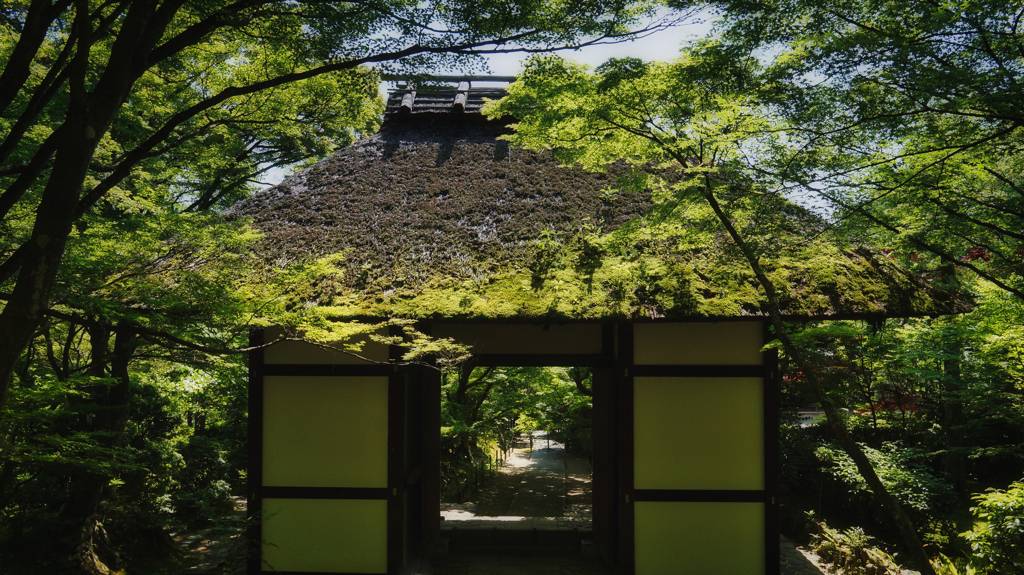 常寂光寺　２