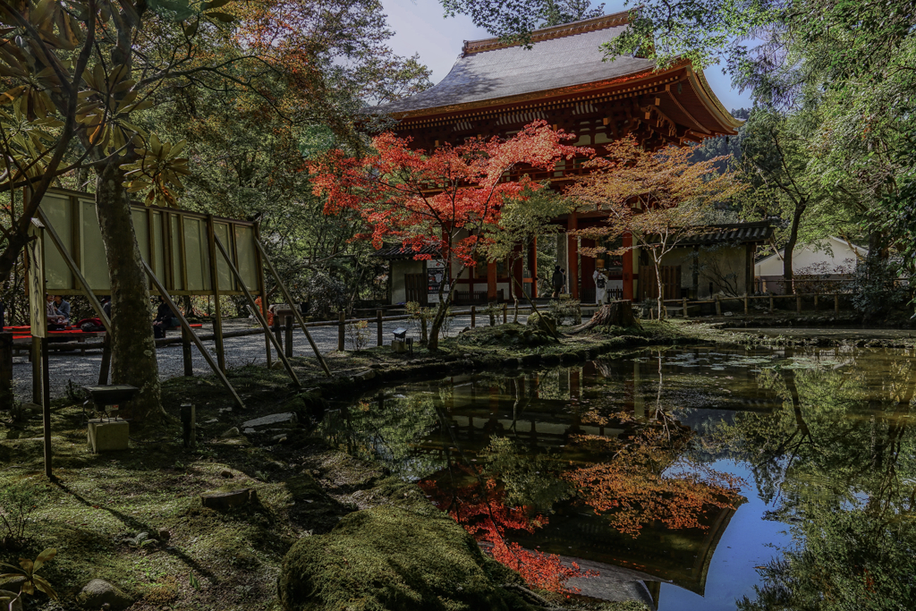 室生寺の秋